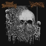 Ritual-Necromancy-Fossilization