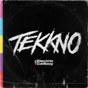 cover_Electric-Callbooy_Tekkno