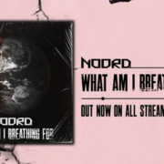 news_2022-8-24_Noord-new-single-out-now