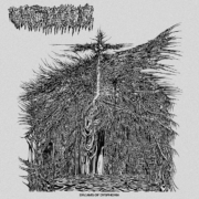 cover_Vacuous-Dreams-of-Dysphoria