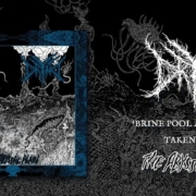 news_2022-11-11_Dryad releases new track-min