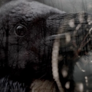 news_2022-11-18_Enslaved-announce-new-album-and-release-new-single
