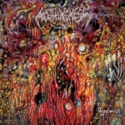 cover_Nothingness_2023
