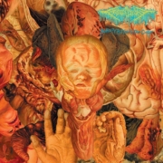 cover_FesterDecay-Reality-Rotten-To-The-Core