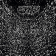cover_Ascended_Dead-Evenfall-of-the-Apocalypse