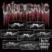 cover_Undergang_De-Syv-Stadier-Af-Fordærv-min