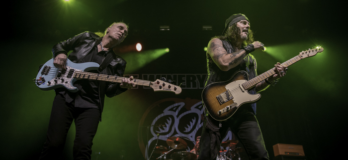 Winery Dogs