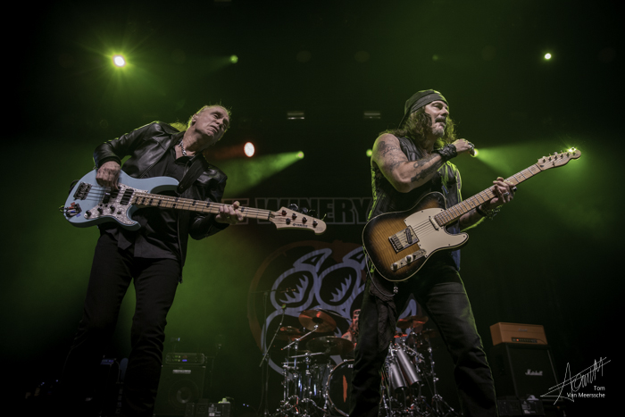 Winery Dogs