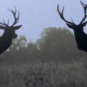 news_2023-11-24_Ihsahn-new-song-Pilgrimage-To-Oblivion