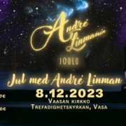 Gig_2023-12-08_André Linman_Vaasa