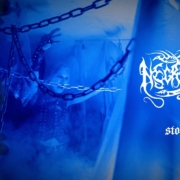 news_2023-12-10_Necrophobic-single-Stormcrow
