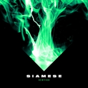 cover_Siamese_Vertigo