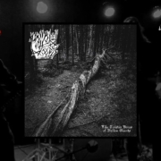 news_2024-01-08_Hollow-Woods-single-Night-Burns-Through