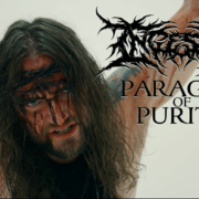 news_2024-01-19_Ingested-single-Paragon-of-Purity