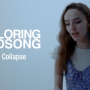 news_2024-02-16_Exploring-Birdsong-single-The-Collapse