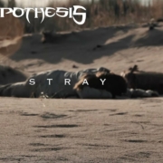 news_2024-08-29_The Hypothesis single Stray