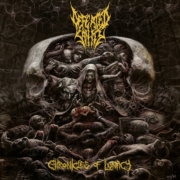 cover_Defeated-Sanity-Chronicles-of-Lunacy