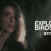 news_2024-11-17_Exploring Birdsong single Stitch