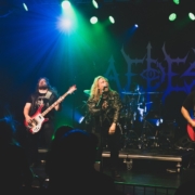 band_Aedes_2024