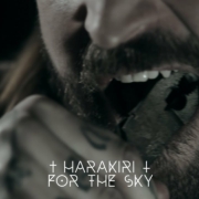 news_2025-01-17_Harakiri for the Sky single Keep Me Longing
