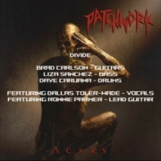 cover_Patchwork_Divide