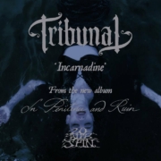 news_2025-04-01_Tribunal single Incarnadine