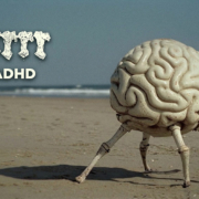 news_2025-04-12_Igorrr single ADHD
