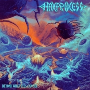Cover_haxprocess_BWECS