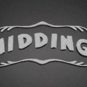 news_2025-09-24_Galge single Nidding-min