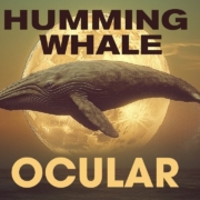 news_2025-10-10_Humming Whale single Ocular