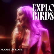 news_2026-05-13_Exploring Birdsong single Spy in the House of Love