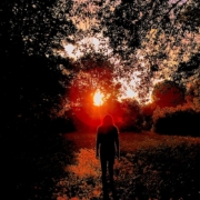 band_Svjetlost_2026