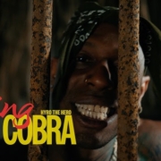 news_2026-06-19_Hyro The Hero single King Cobra
